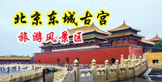 深夜一个人免费视频操逼中国北京-东城古宫旅游风景区